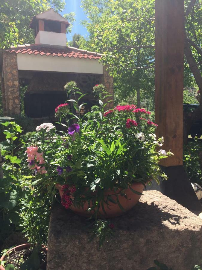 Casas Rurales La Huerta Salobre (Albacete) Exterior photo
